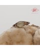 【肌容雪】天然緬甸A貨冰翡翠蛋面戒指 編號503