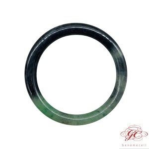 【肌容雪】天然緬甸A貨冰種綠花烏雞翡翠美人鐲 編號428 (鐲寬54.4mm #17.5號)