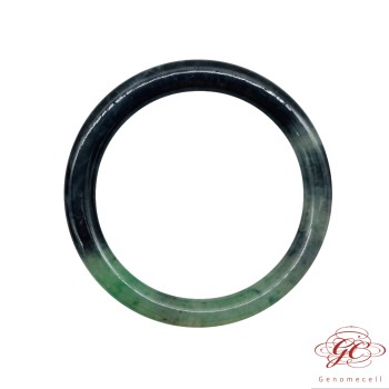 【肌容雪】天然緬甸A貨冰種綠花烏雞翡翠美人鐲 編號428 (鐲寬54.4mm #17.5號)