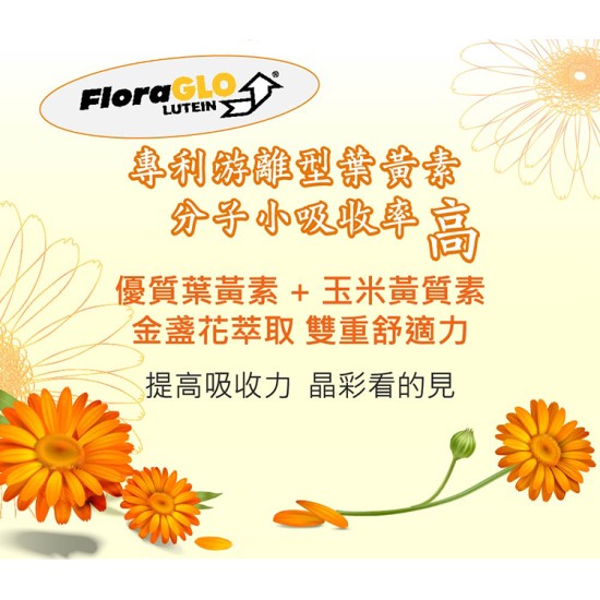  【特惠六入組合】銀杏養生膳膠囊 60顆(Flora GLO專利葉黃素)