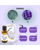 美妍室 薰衣草精油100%