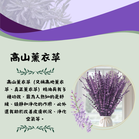美妍室 薰衣草精油