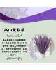 美妍室 薰衣草精油