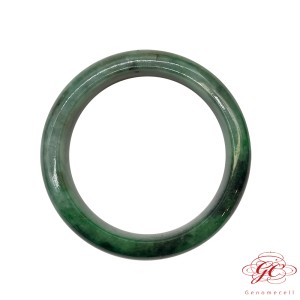 【肌容雪】緬甸天然A貨翡翠辣綠飄花翡翠手鐲編號717(鐲寬57.9mm #18.5號 )
