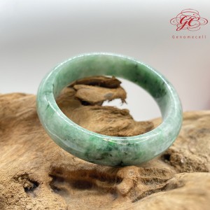 【肌容雪】緬甸天然A貨翡翠滿綠飄花翡翠手鐲 編號765(鐲寬58.5mm #19號 )