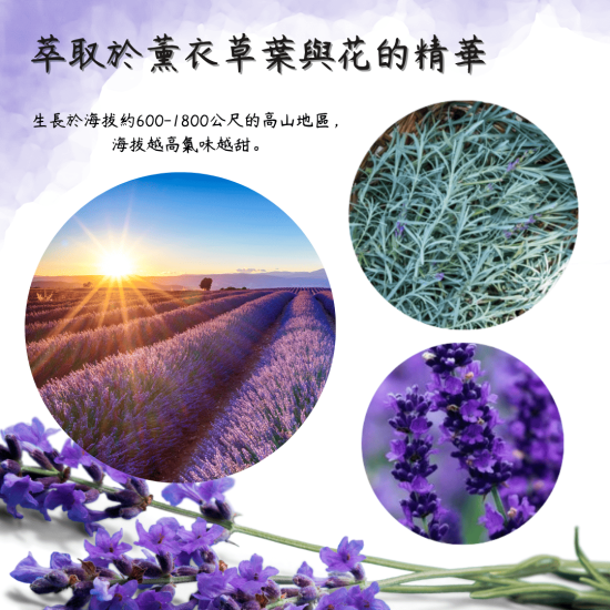 美妍室 薰衣草精油