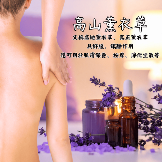 美妍室 薰衣草精油