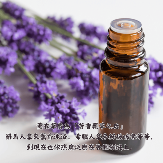 美妍室 薰衣草精油
