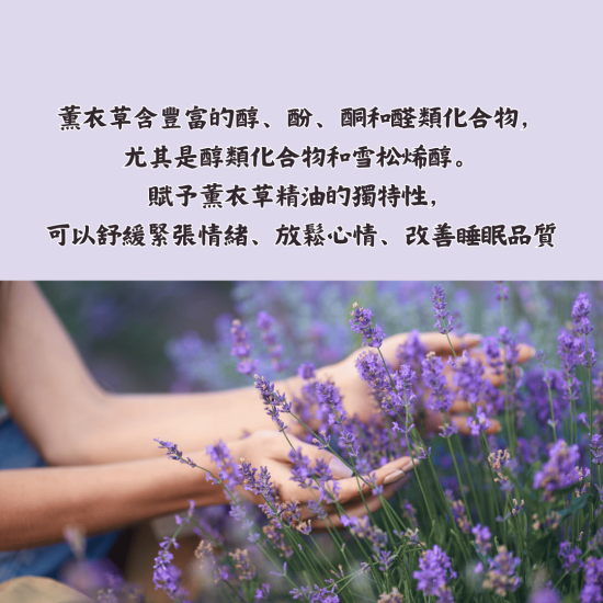 美妍室 薰衣草精油