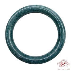 【肌容雪】天然緬甸藍水翡翠圓條美人手鐲A貨 編號41 (鐲寬54.7mm #17.5號)