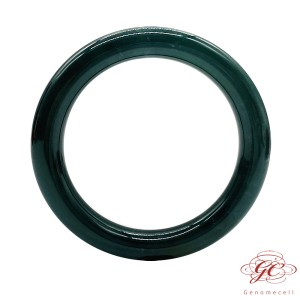 【肌容雪】天然緬甸A貨藍水翡翠手鐲 編號62 (鐲寬55.7mm #18號)