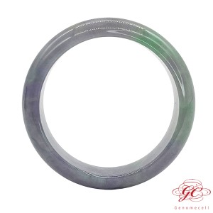 【肌容雪】天然緬甸春彩翡翠手鐲A貨 編號216 (鐲寬58mm #18.5號)