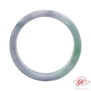 【肌容雪】天然緬甸翡翠手鐲A貨春帶彩美鐲 編號228(鐲寬60mm #19.5號)