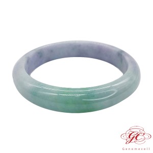 【肌容雪】天然緬甸翡翠手鐲A貨春帶彩美鐲 編號228(鐲寬60mm #19.5號)