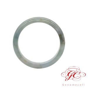 【肌容雪】天然緬甸翡翠正冰手鐲A貨 編號231 (鐲寬56.6mm #18.5號)
