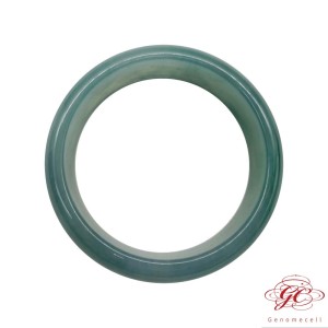 【肌容雪】緬甸天然A貨藍水寬版翡翠手鐲 編號379 (鐲寬55.8mm #18號) 
