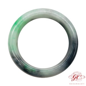 【肌容雪】緬甸天然A貨翡翠冰正陽綠烏雞美鐲 編號381 (鐲寬56mm #18號)