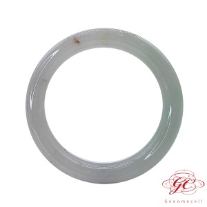 【肌容雪】緬甸天然A貨翡翠冰翠綠帶金翡翠手鐲 編號584  (鐲寬56.5mm #18號)
