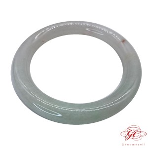 【肌容雪】緬甸天然A貨翡翠冰翠綠帶金翡翠手鐲 編號584  (鐲寬56.5mm #18號)