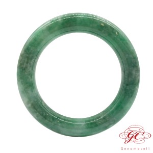 【肌容雪】緬甸天然A貨翡翠滿綠飄花翡翠手鐲 編號685 (鐲寬56.9mm #18.5 號)