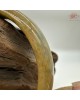 【肌容雪】天然緬甸A貨黃翡翠平安鐲 編號08(鐲圍58.5mm#18.5號) 【肌容雪】天然緬甸A貨黃翡翠平安鐲 編號08(鐲圍58.5mm#18.5號)