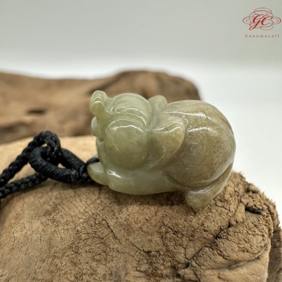 【肌容雪】天然緬甸A貨祥獸造型翡翠吊飾 編號11