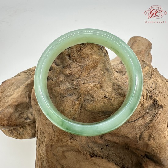 【肌容雪】天然緬甸A貨滿綠金絲綠平安鐲 編號26(鐲圍54.6mm#17號) 【肌容雪】天然緬甸A貨滿綠金絲綠平安鐲 編號26(鐲圍54.6mm#17號)