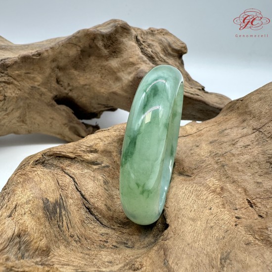 【肌容雪】天然緬甸A貨滿綠金絲綠平安鐲 編號26(鐲圍54.6mm#17號) 【肌容雪】天然緬甸A貨滿綠金絲綠平安鐲 編號26(鐲圍54.6mm#17號)