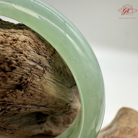 【肌容雪】天然緬甸A貨滿綠金絲綠平安鐲 編號26(鐲圍54.6mm#17號) 【肌容雪】天然緬甸A貨滿綠金絲綠平安鐲 編號26(鐲圍54.6mm#17號)