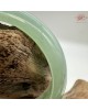 【肌容雪】天然緬甸A貨滿綠金絲綠平安鐲 編號26(鐲圍54.6mm#17號) 【肌容雪】天然緬甸A貨滿綠金絲綠平安鐲 編號26(鐲圍54.6mm#17號)