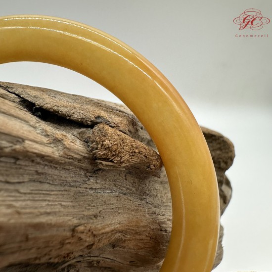 【肌容雪】天然緬甸A貨黃翡翡翠圓條手鐲 編號33(鐲圍57.2mm #18號) 【肌容雪】天然緬甸A貨黃翡翡翠圓條手鐲 編號33(鐲圍57.2mm #18號)