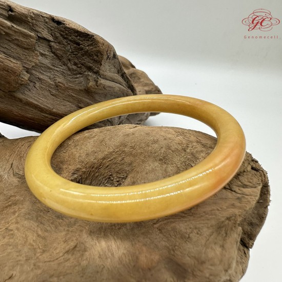 【肌容雪】天然緬甸A貨黃翡翡翠圓條手鐲 編號33(鐲圍57.2mm #18號) 【肌容雪】天然緬甸A貨黃翡翡翠圓條手鐲 編號33(鐲圍57.2mm #18號)