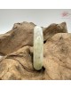 【肌容雪】天然緬甸A貨正陽綠帶烏雞飄花翡翠平安鐲 編號45(鐲圍56.8mm#18號)