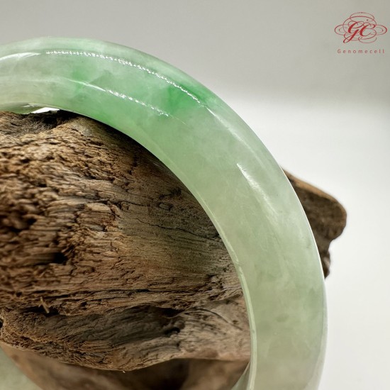 【肌容雪】天然緬甸A貨正陽綠帶烏雞飄花翡翠平安鐲 編號45(鐲圍56.8mm#18號)