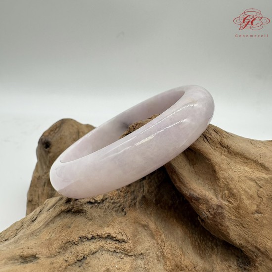 【肌容雪】天然緬甸A貨粉春烏雞翡翠平安鐲 編號48(鐲圍55.4mm#17.5號)