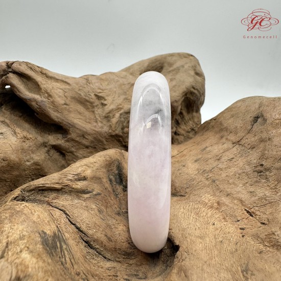【肌容雪】天然緬甸A貨粉春烏雞翡翠平安鐲 編號48(鐲圍55.4mm#17.5號)