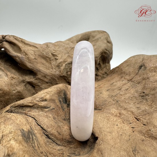 【肌容雪】天然緬甸A貨粉春烏雞翡翠平安鐲 編號48(鐲圍55.4mm#17.5號)