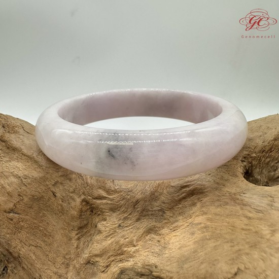 【肌容雪】天然緬甸A貨粉春烏雞翡翠平安鐲 編號48(鐲圍55.4mm#17.5號)