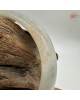 【肌容雪】天然緬甸A貨淺綠飄花帶紅翡翠平安鐲 編號57(鐲圍55.2mm#17.5號) 【肌容雪】天然緬甸A貨淺綠飄花帶紅翡翠平安鐲 編號57(鐲圍55.2mm#17.5號)