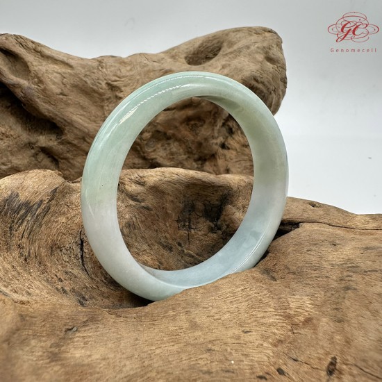 【肌容雪】天然緬甸A貨春彩飄花翡翠平安鐲 編號61(鐲圍53.0mm#16.5號) 【肌容雪】天然緬甸A貨春彩飄花翡翠平安鐲 編號61(鐲圍53.0mm#16.5號)