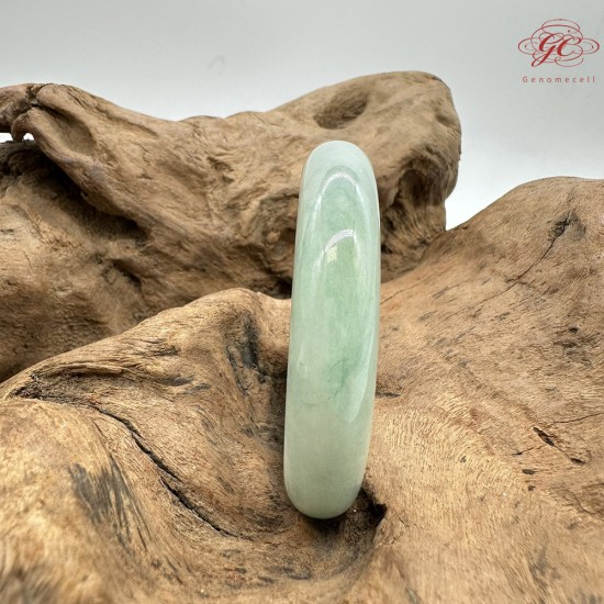 【肌容雪】天然緬甸A貨春彩飄花翡翠平安鐲 編號61(鐲圍53.0mm#16.5號) 【肌容雪】天然緬甸A貨春彩飄花翡翠平安鐲 編號61(鐲圍53.0mm#16.5號)