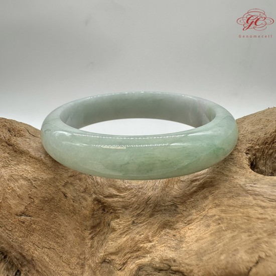 【肌容雪】天然緬甸A貨春彩飄花翡翠平安鐲 編號61(鐲圍53.0mm#16.5號) 【肌容雪】天然緬甸A貨春彩飄花翡翠平安鐲 編號61(鐲圍53.0mm#16.5號)