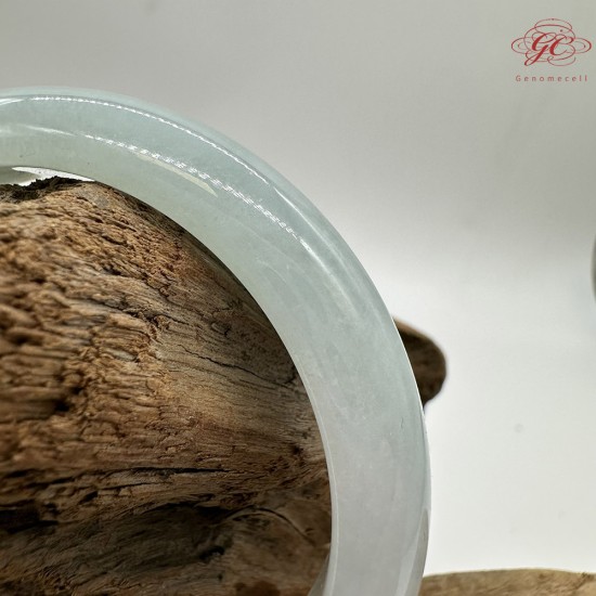 【肌容雪】天然緬甸A貨春彩飄花翡翠平安鐲 編號61(鐲圍53.0mm#16.5號) 【肌容雪】天然緬甸A貨春彩飄花翡翠平安鐲 編號61(鐲圍53.0mm#16.5號)