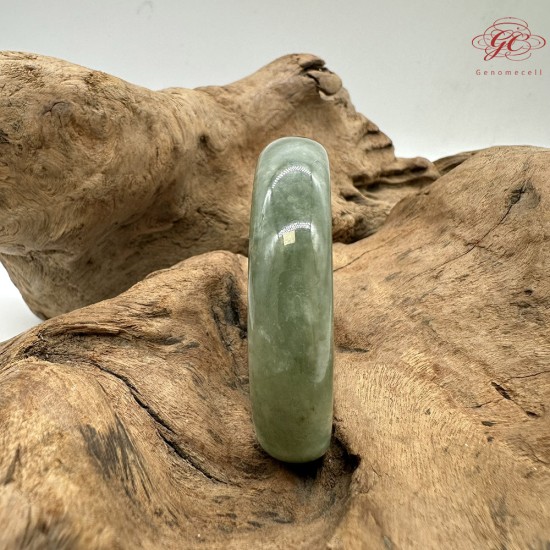 【肌容雪】天然緬甸A貨翡翠糯冰湖水綠飄花平安鐲 編號85(鐲圍53.8mm#17號) 【肌容雪】天然緬甸A貨翡翠糯冰湖水綠飄花平安鐲 編號85(鐲圍53.8mm#17號)