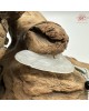 【肌容雪】天然緬甸A貨白月光翡翠葉子吊飾 編號97 【肌容雪】天然緬甸A貨白月光翡翠葉子吊飾 編號97