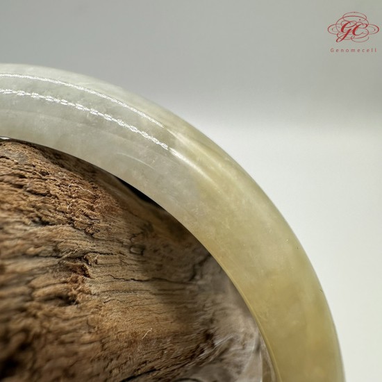 【肌容雪】天然緬甸A貨紫底黃翡翠平安鐲 編號99(鐲圍55.7mm#17.5號) 【肌容雪】天然緬甸A貨紫底黃翡翠平安鐲 編號99(鐲圍55.7mm#17.5號)