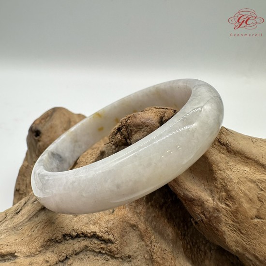 【肌容雪】天然緬甸A貨烏雞撒金翡翠平安鐲 編號100(鐲圍58.9mm#18.5號) 【肌容雪】天然緬甸A貨烏雞撒金翡翠平安鐲 編號100(鐲圍58.9mm#18.5號)