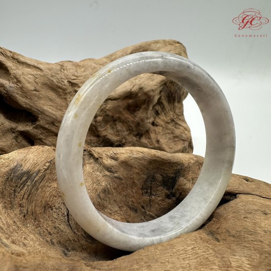 【肌容雪】天然緬甸A貨烏雞撒金翡翠平安鐲 編號100(鐲圍58.9mm#18.5號) 【肌容雪】天然緬甸A貨烏雞撒金翡翠平安鐲 編號100(鐲圍58.9mm#18.5號)