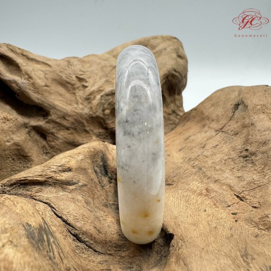 【肌容雪】天然緬甸A貨烏雞撒金翡翠平安鐲 編號100(鐲圍58.9mm#18.5號) 【肌容雪】天然緬甸A貨烏雞撒金翡翠平安鐲 編號100(鐲圍58.9mm#18.5號)