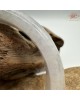 【肌容雪】天然緬甸A貨烏雞撒金翡翠平安鐲 編號100(鐲圍58.9mm#18.5號) 【肌容雪】天然緬甸A貨烏雞撒金翡翠平安鐲 編號100(鐲圍58.9mm#18.5號)